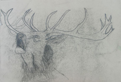 Tier 2, Bleistift auf Papier, 28 cm x 21 cm, 2002