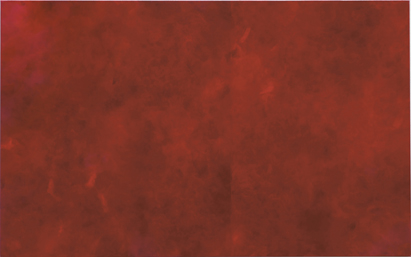 Rot, Öl auf Acryl auf Leinwand, 160 cm x 100 cm, 07/2006